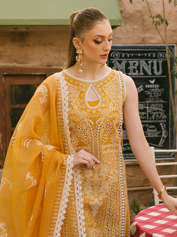 Mahnur Mahrukh Lawn'24 V#2 D#10
