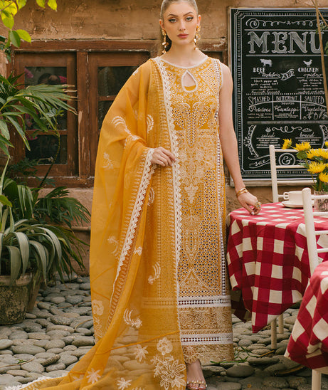 Mahnur Mahrukh Lawn'24 V#2 D#10