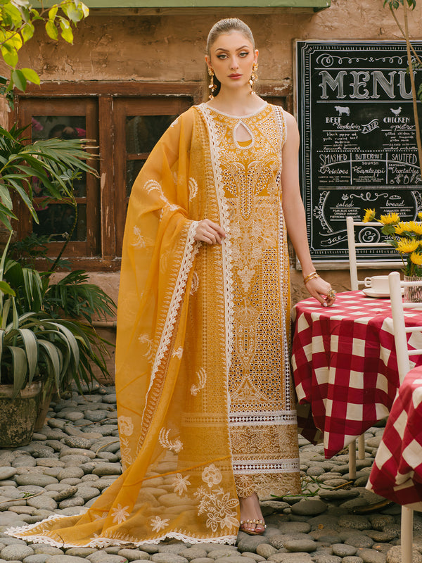 Mahnur Mahrukh Lawn'24 V#2 D#10
