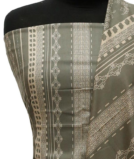Sar-E-Bazam Pashmina Print`22 D#05 D-Pista