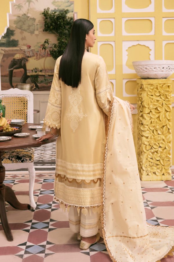 Seran Wasl Unstitched Collection`22 D#13