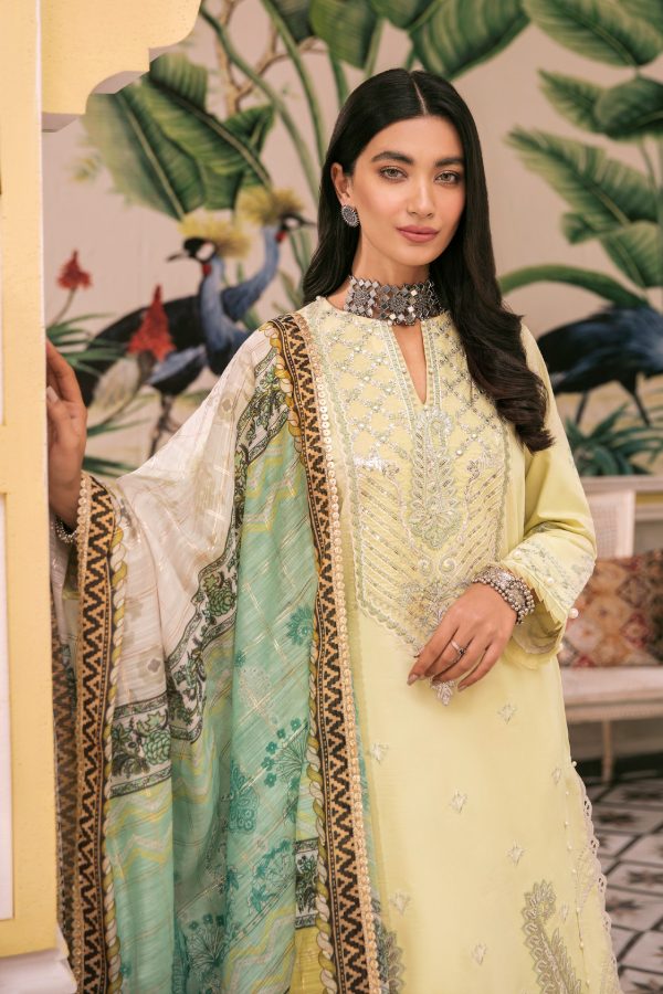 Seran Wasl Unstitched Collection`22 D#06