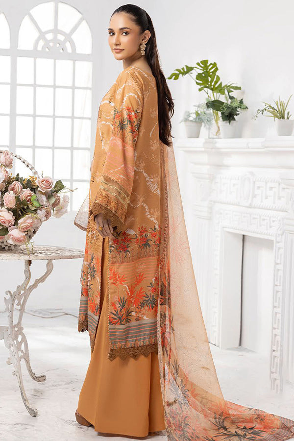 Shaista Anmol D/Karandi'24 D#737