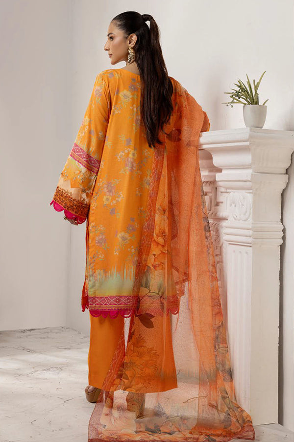 Shaista Anmol D/Karandi'24 D#740