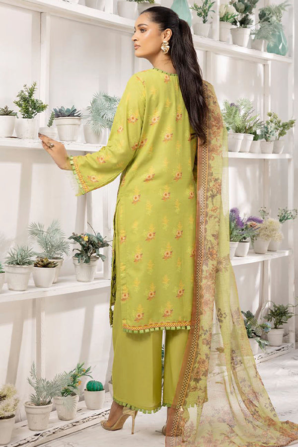 Shaista Anmol D/Karandi'24 D#741