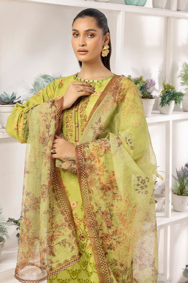 Shaista Anmol D/Karandi'24 D#741