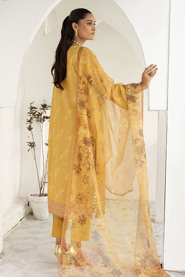 Shaista Anmol D/Karandi'24 D#743