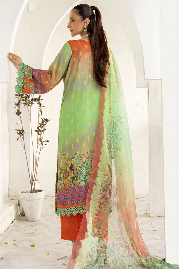 Shaista Anmol D/Karandi'24 D#744