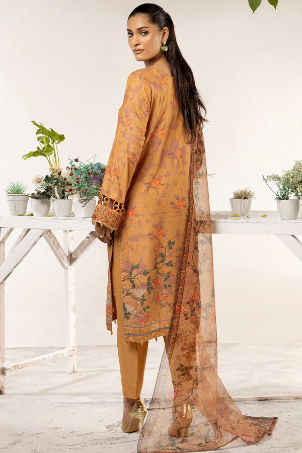 Shaista Anmol D/Karandi'24 D#747