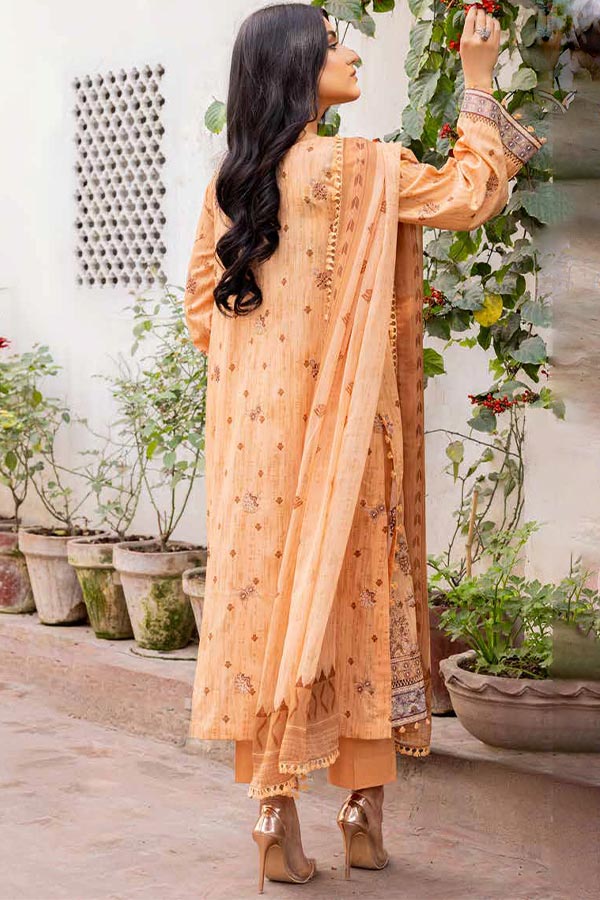 Shaista Areeha Texture`23 ASE#501