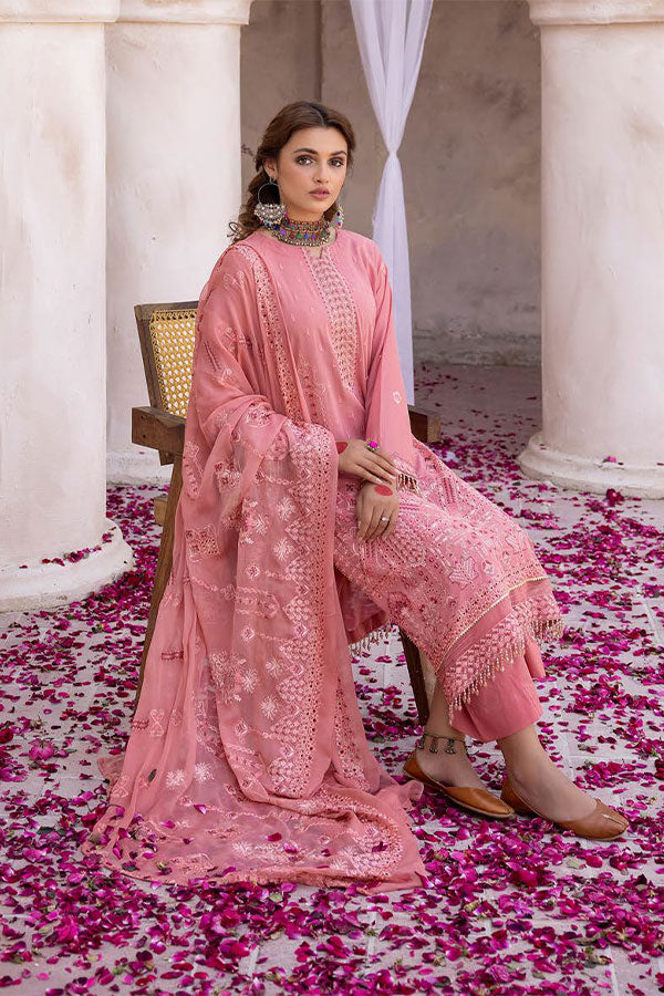 Shaista Festive Lawn'24 D#507