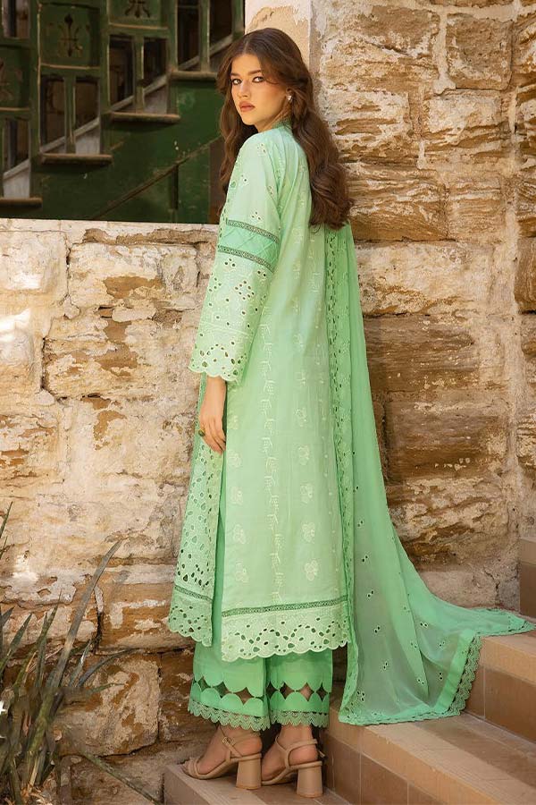 Shaista Premium Lawn`24 D#464