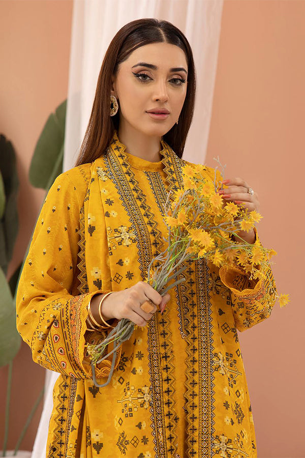 Shaista Zarkash Dhanak`24 D#699