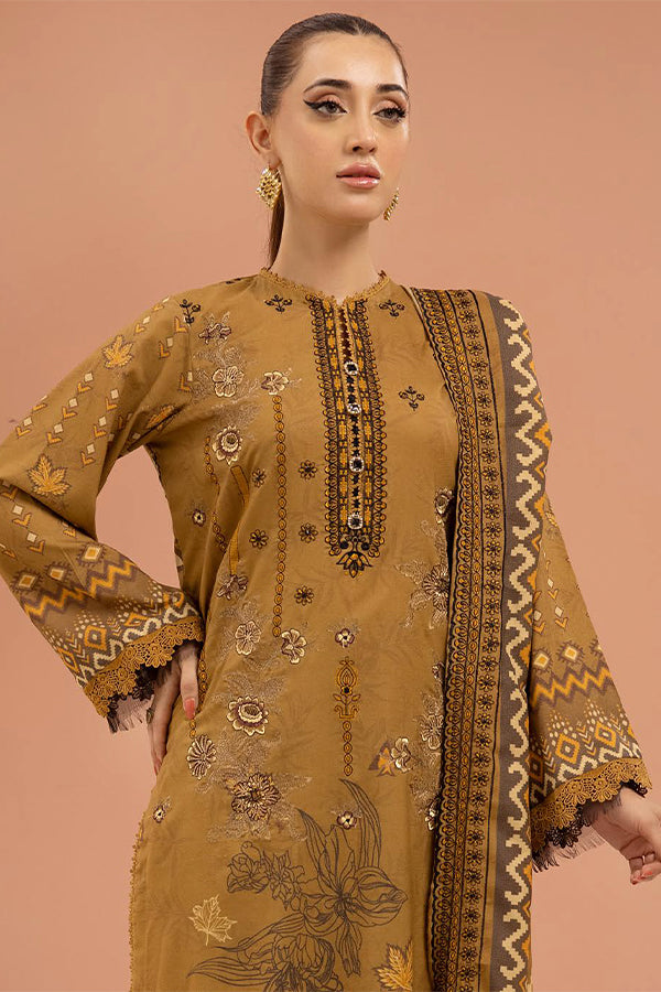 Shaista Zarkash Dhanak`24 D#701