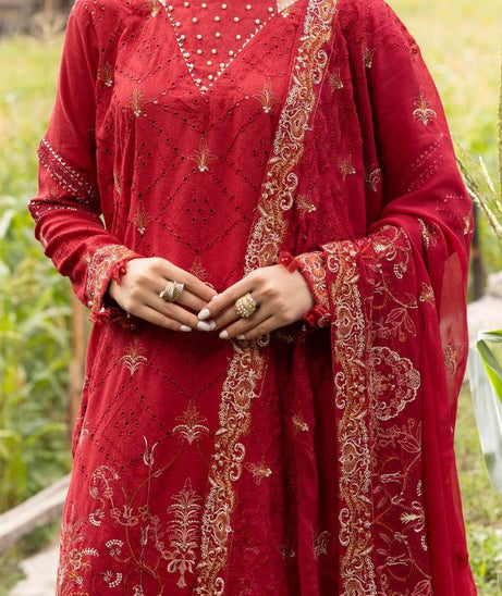 Shaista Festive Karandi`24 D#718