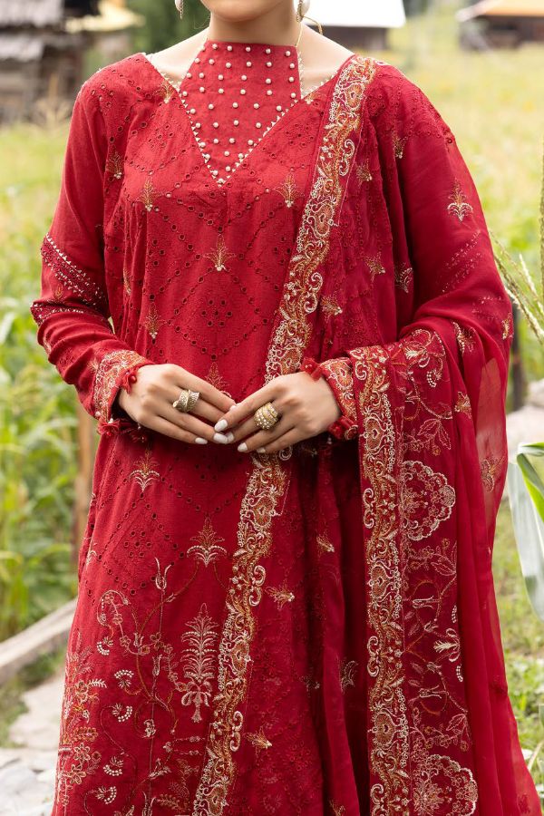 Shaista Festive Karandi`24 D#718