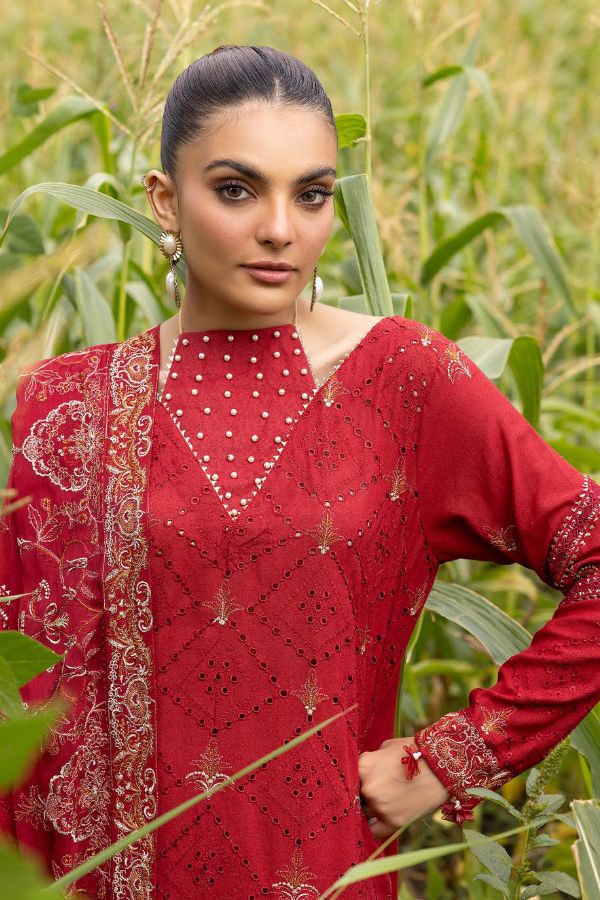 Shaista Festive Karandi`24 D#718