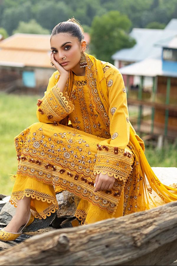 Shaista Festive Karandi`24 D#720