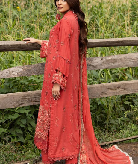 Shaista Festive Karandi`24 D#727