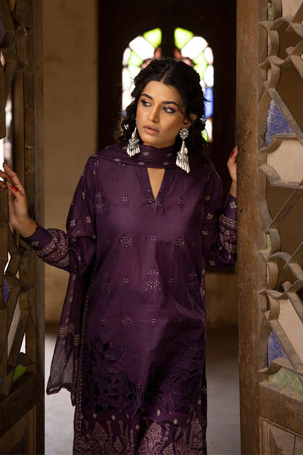 Shaista Rang Nagar Lawn`25 D#632