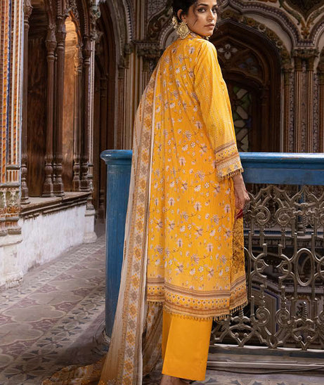 Shaista Rang Nagar Lawn`25 D#637