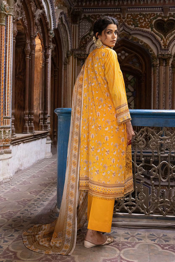 Shaista Rang Nagar Lawn`25 D#637