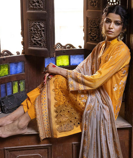 Shaista Rang Nagar Lawn`25 D#637