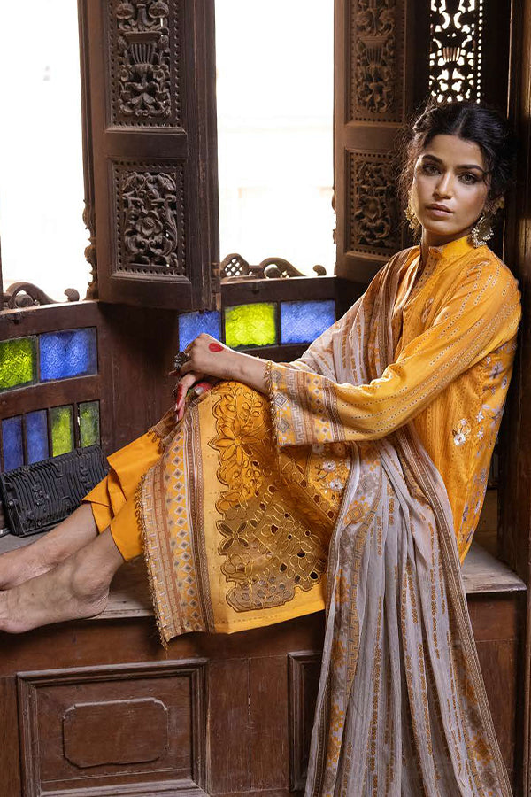 Shaista Rang Nagar Lawn`25 D#637