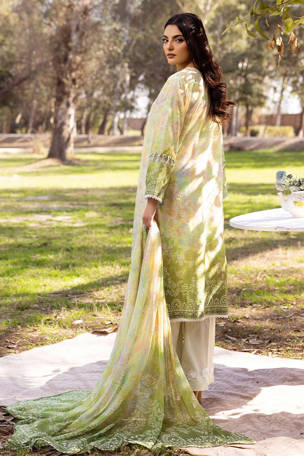 Shaista Chikankari Lawn'25 D#01