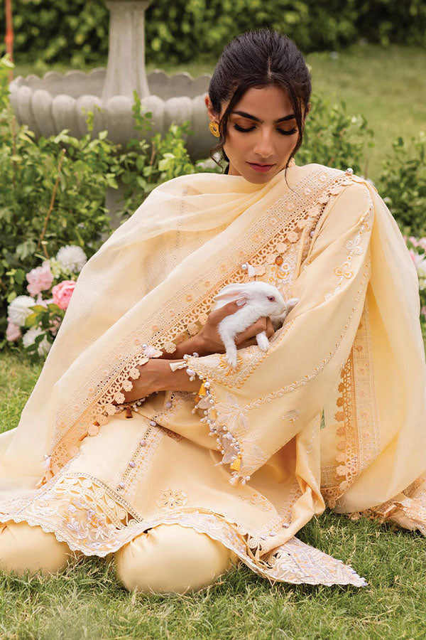 Siraa Lawn'24 Vol-2 D#6A(Zaphira)