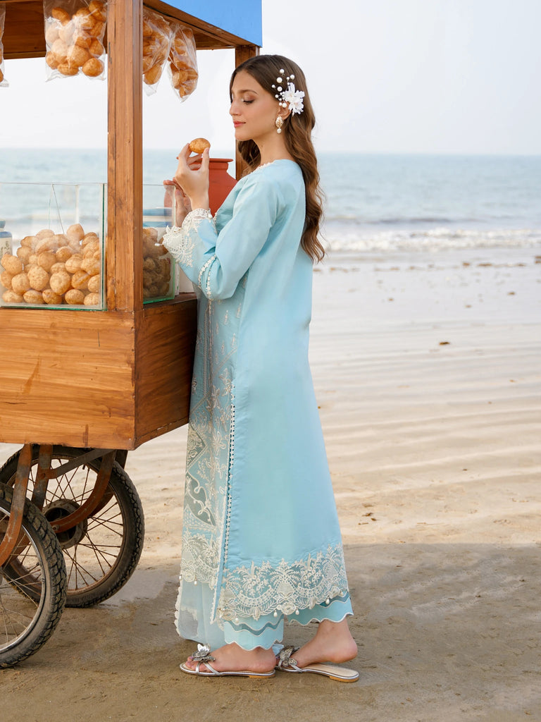 Aabyaan Saagar L/Lawn'24 D#05 FEROZA