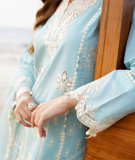 Aabyaan Saagar L/Lawn'24 D#05 FEROZA