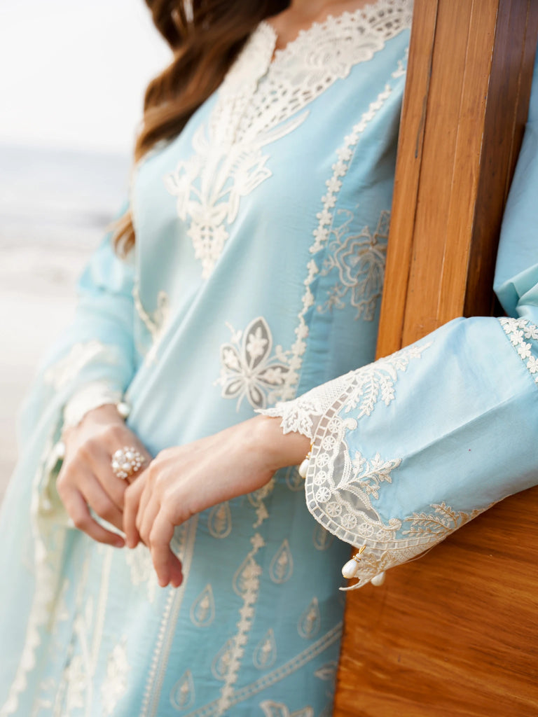 Aabyaan Saagar L/Lawn'24 D#05 FEROZA