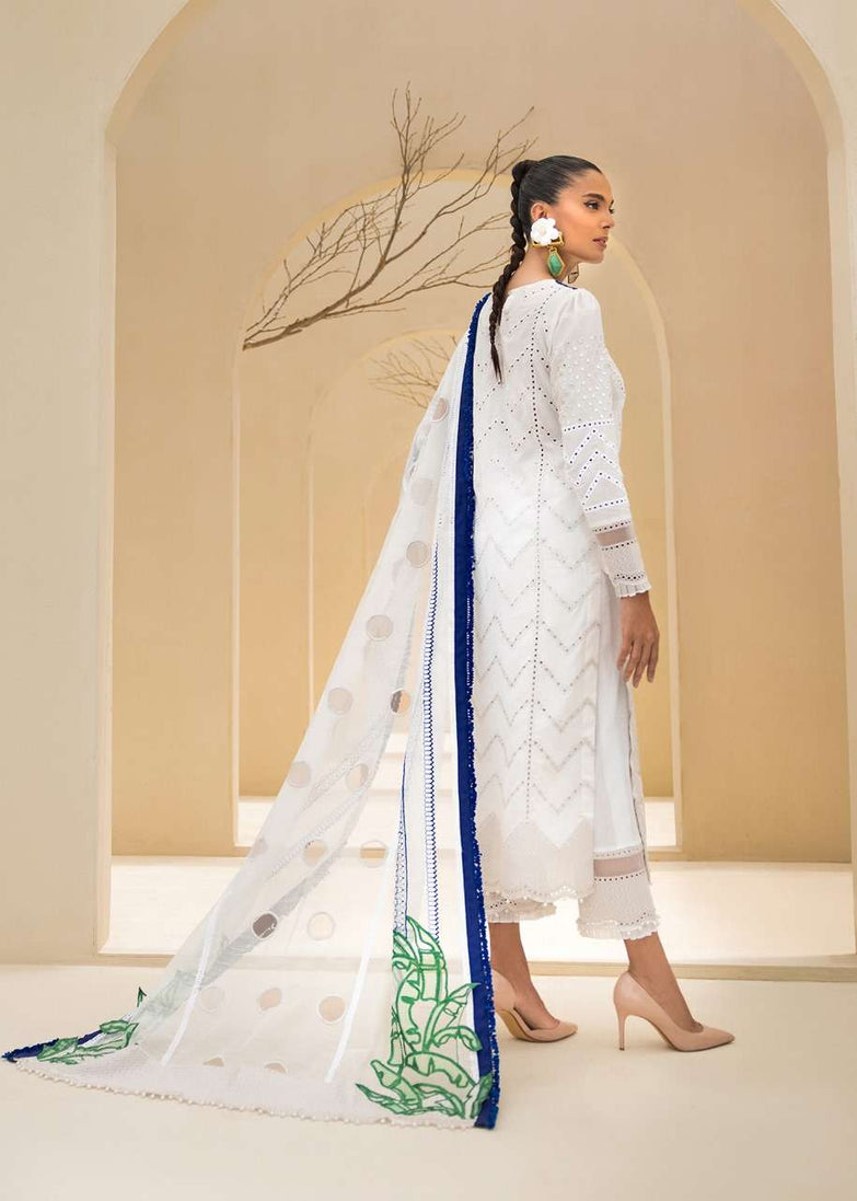 Tabassum Mughal Luxury Lawn'24 D#02