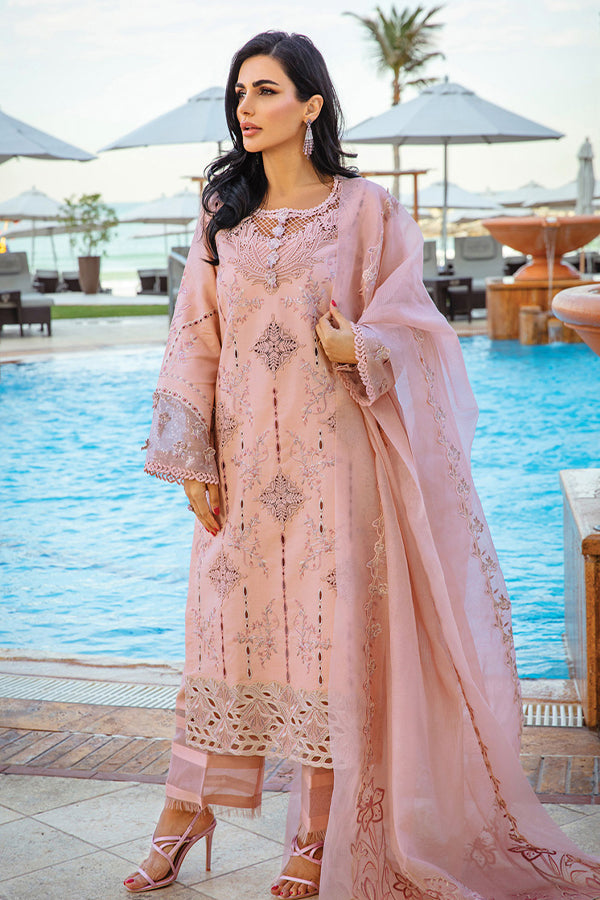 Rang Rasiya Premium Summer`25 D#06