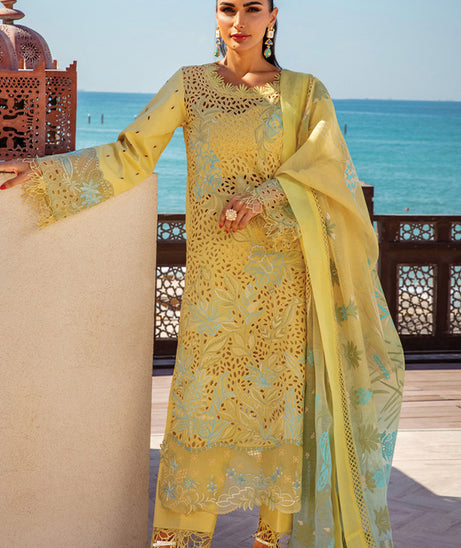 Rang Rasiya Premium Summer`25 D#05