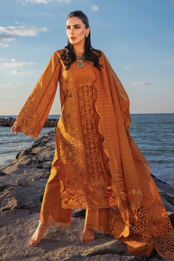 Rang Rasiya Premium Summer`25 D#12