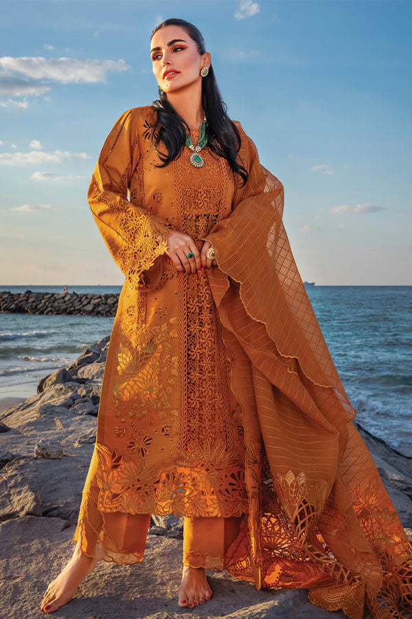 Rang Rasiya Premium Summer`25 D#12