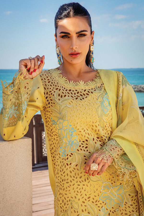 Rang Rasiya Premium Summer`25 D#05