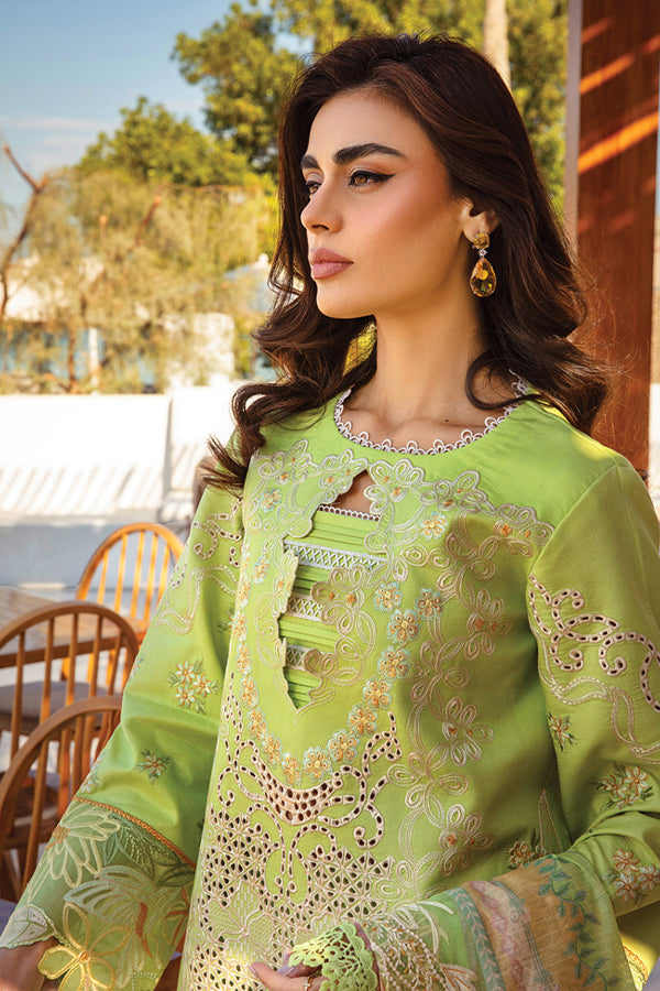 Rang Rasiya Premium Summer`25 D#03