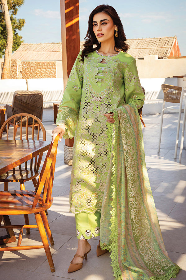 Rang Rasiya Premium Summer`25 D#03