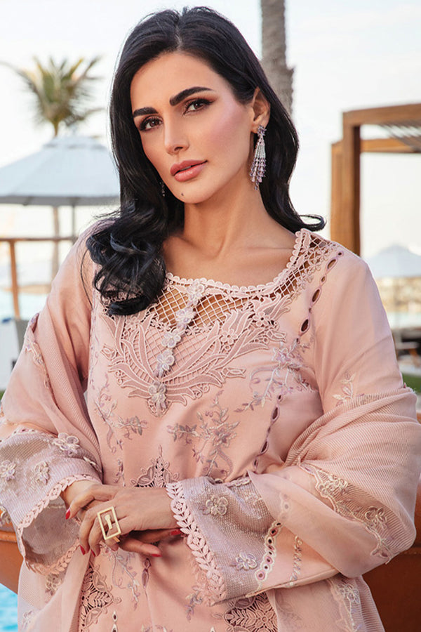 Rang Rasiya Premium Summer`25 D#06