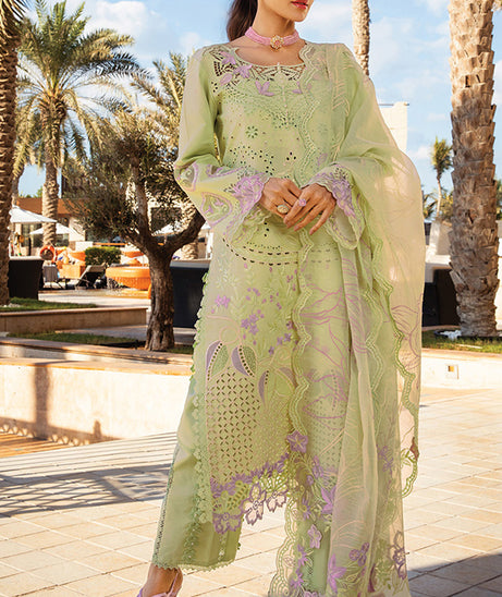 Rang Rasiya Premium Summer`25 D#10