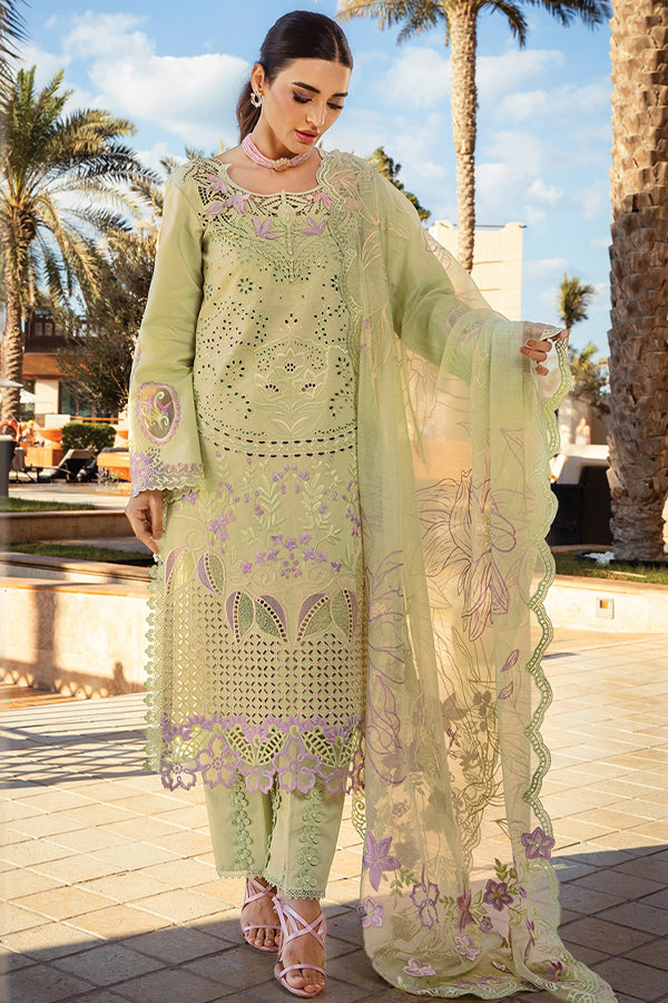 Rang Rasiya Premium Summer`25 D#10