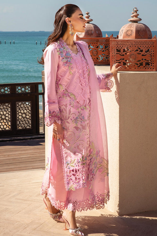 Rang Rasiya Premium Summer`25 D#11