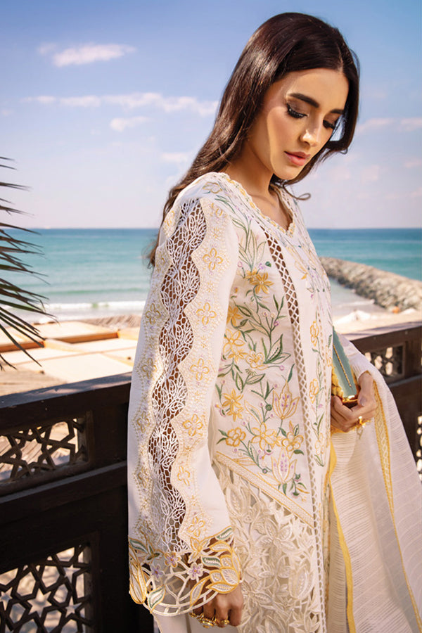 Rang Rasiya Premium Summer`25 D#07