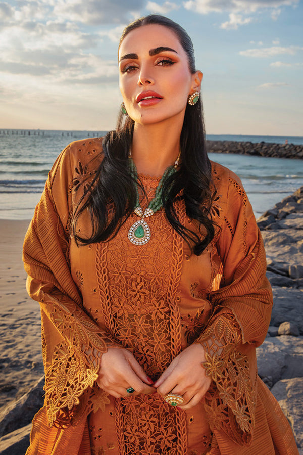 Rang Rasiya Premium Summer`25 D#12