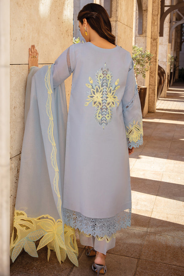 Rang Rasiya Premium Summer`25 D#04