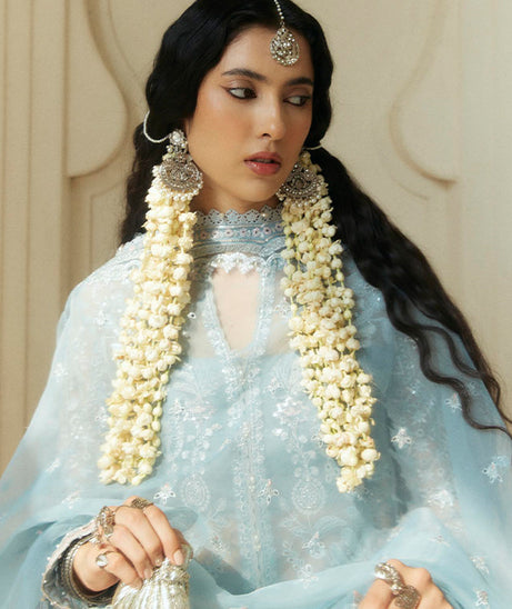 Zara Shahjahan Wedding collection'24 D#5