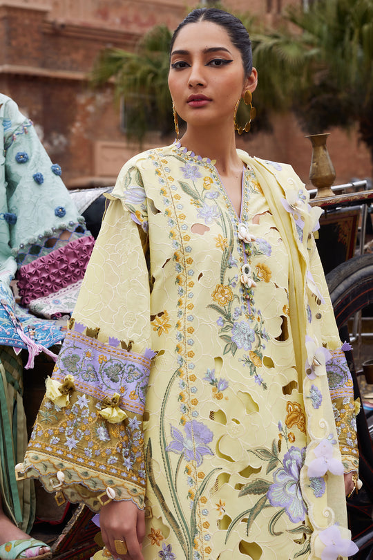 Elan Lawn`25 AMARA (09 A)